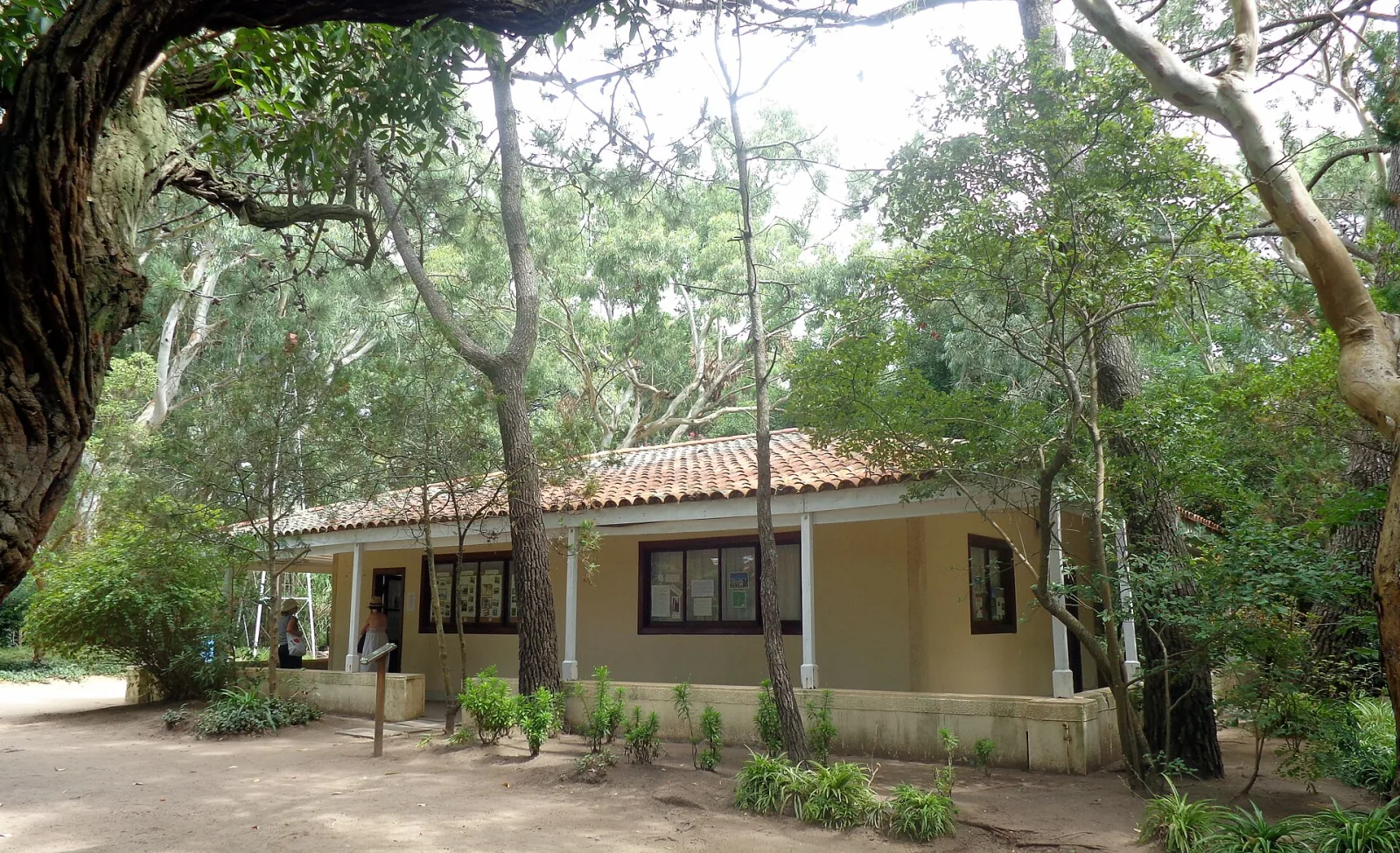 Carlos Gesell’s house in the historic woodland